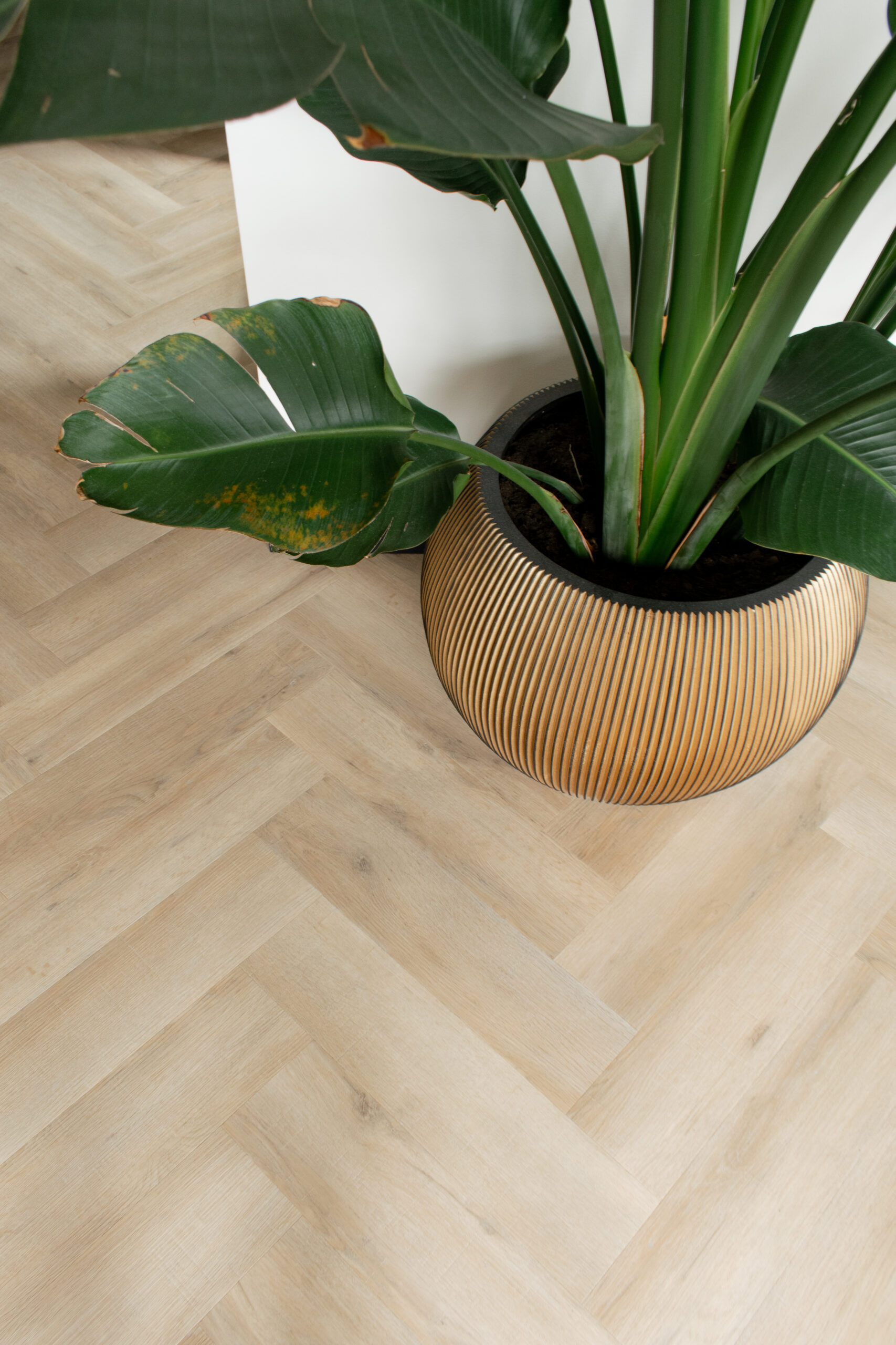 Gelasta Artline Visgraat 1260 Premium Oak Beige plak pvc - Afbeelding 6