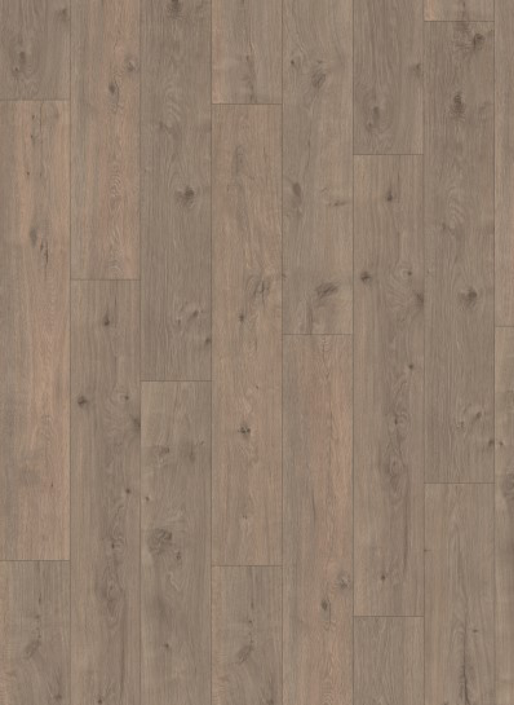 Laminaat Egger Panthera 2833 Kashmir Oak - Afbeelding 2