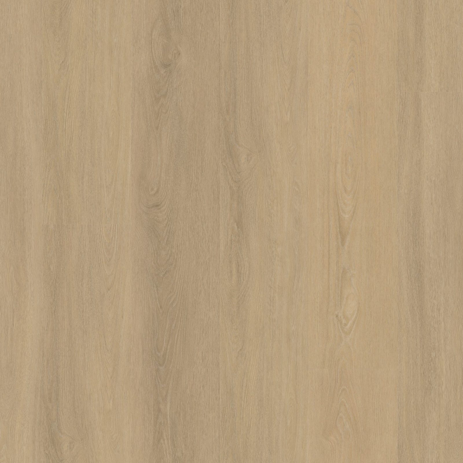 Ambiant pvc klik plank Viranto Warm beige – hoofdfoto