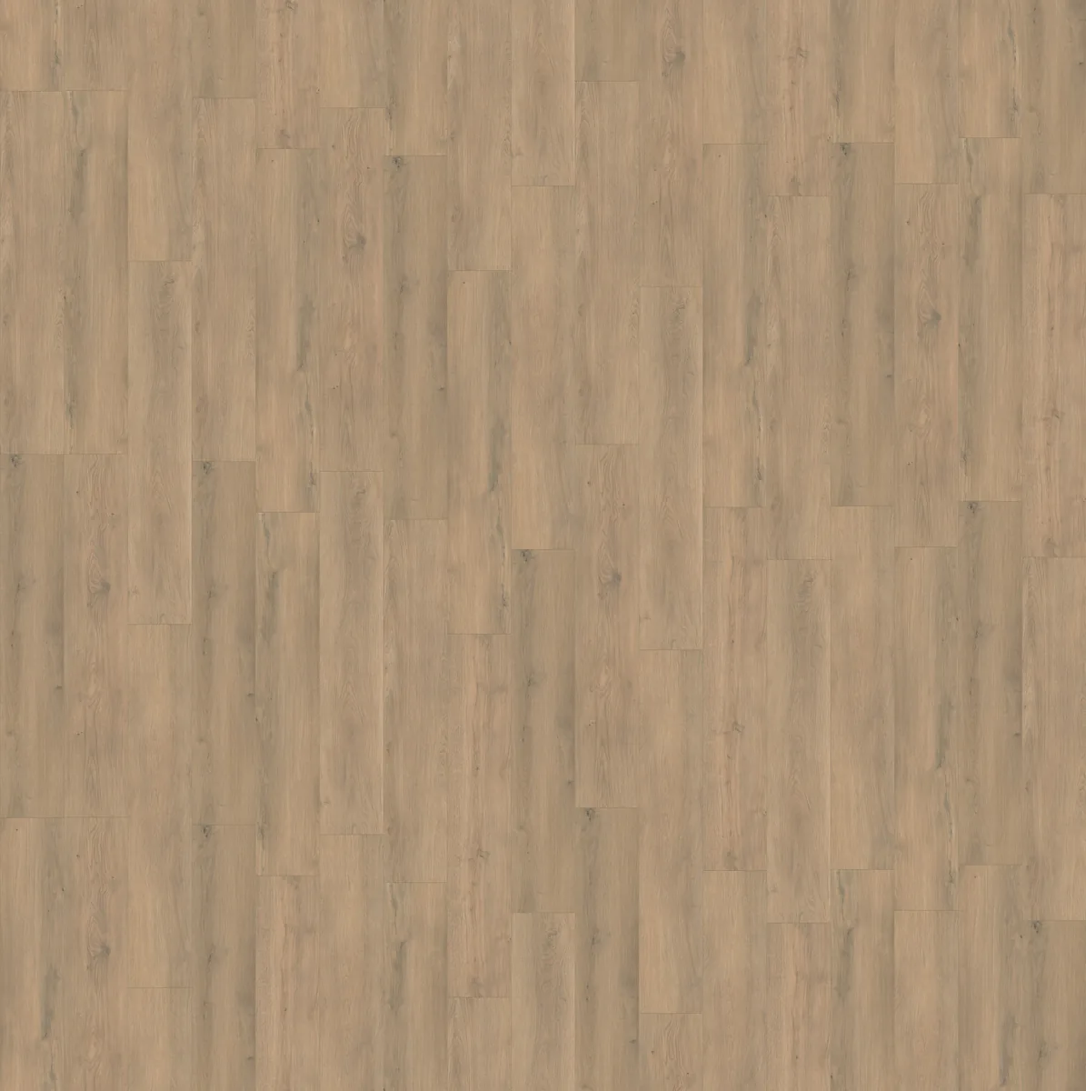 Marble Hill / Sereno beige eiken, laminaat van dichtbij, het legpatroon in beeld