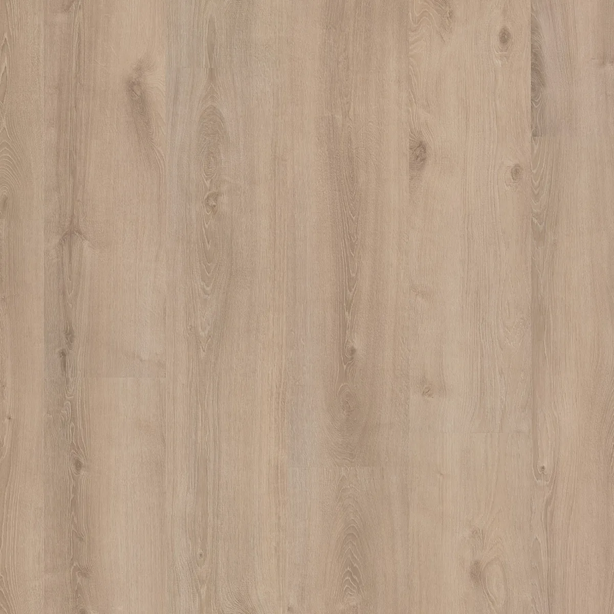 Inwood WR / Ingelstad blond eiken, laminaat gelegd, recht van boven gezien