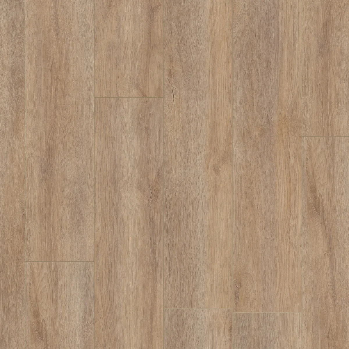 Norwood / Prestige oak warm eiken, laminaat gelegd, recht van boven gezien