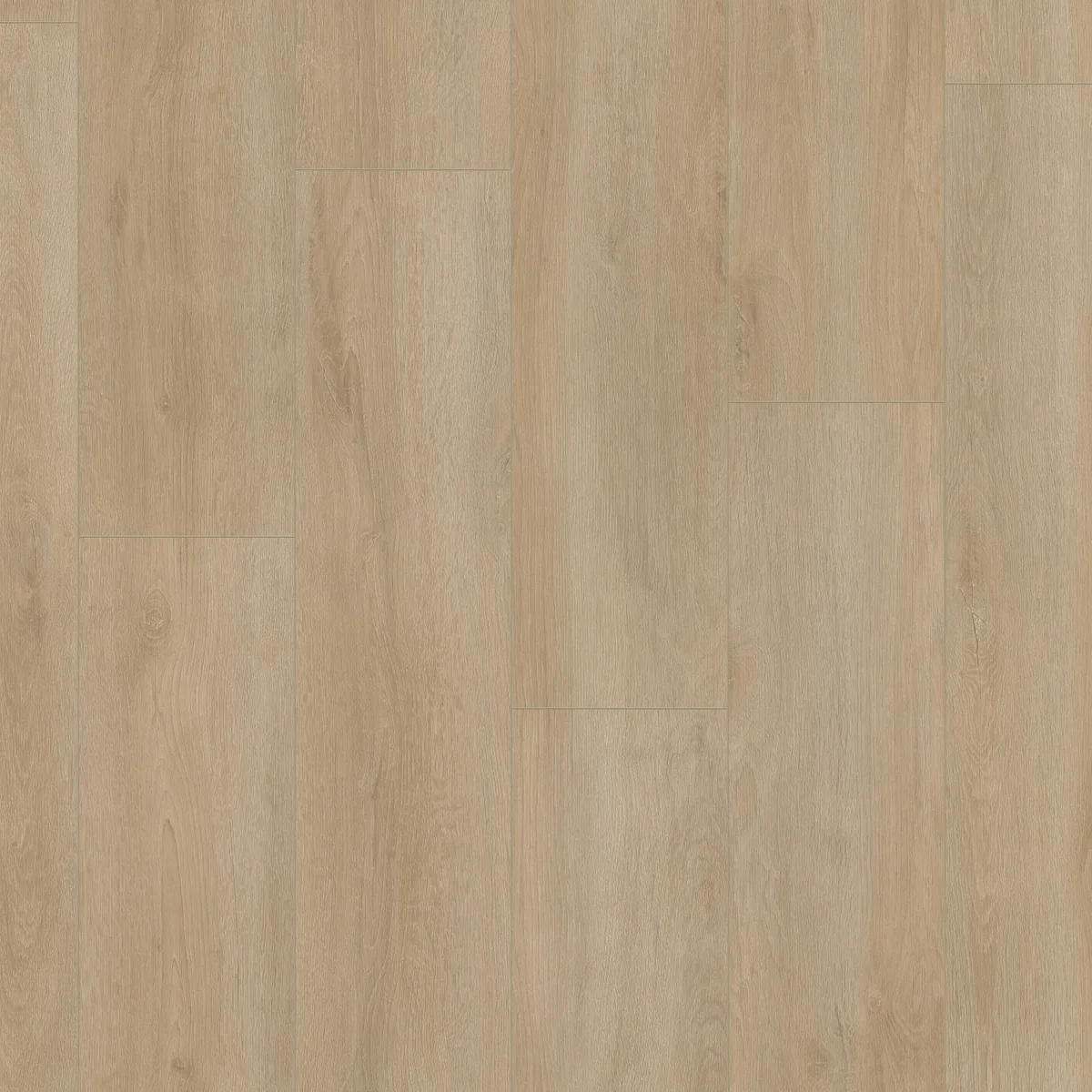 Norwood / Prestige oak beige eiken, laminaat gelegd, recht van boven gezien