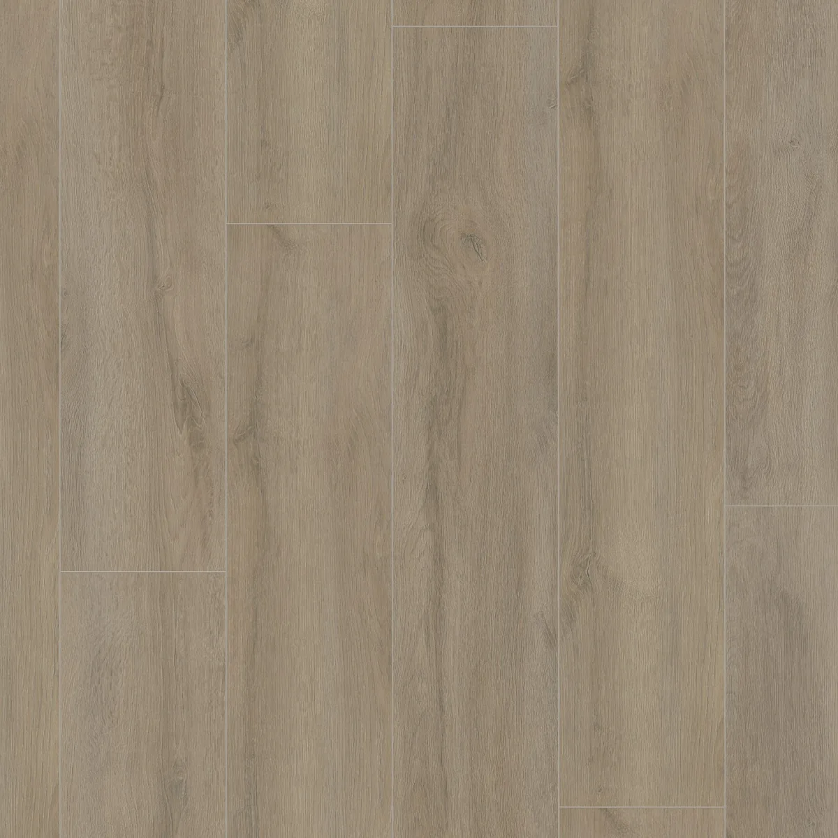 Norwood / Prestige oak grijsbruin eiken, laminaat gelegd, recht van boven gezien