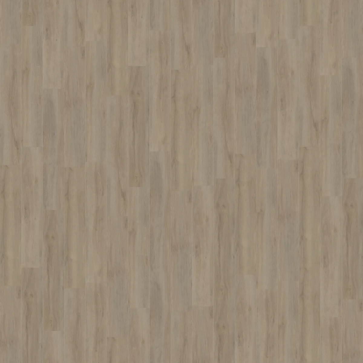 Norwood / Prestige oak grijsbruin eiken, laminaat van dichtbij, het legpatroon in beeld