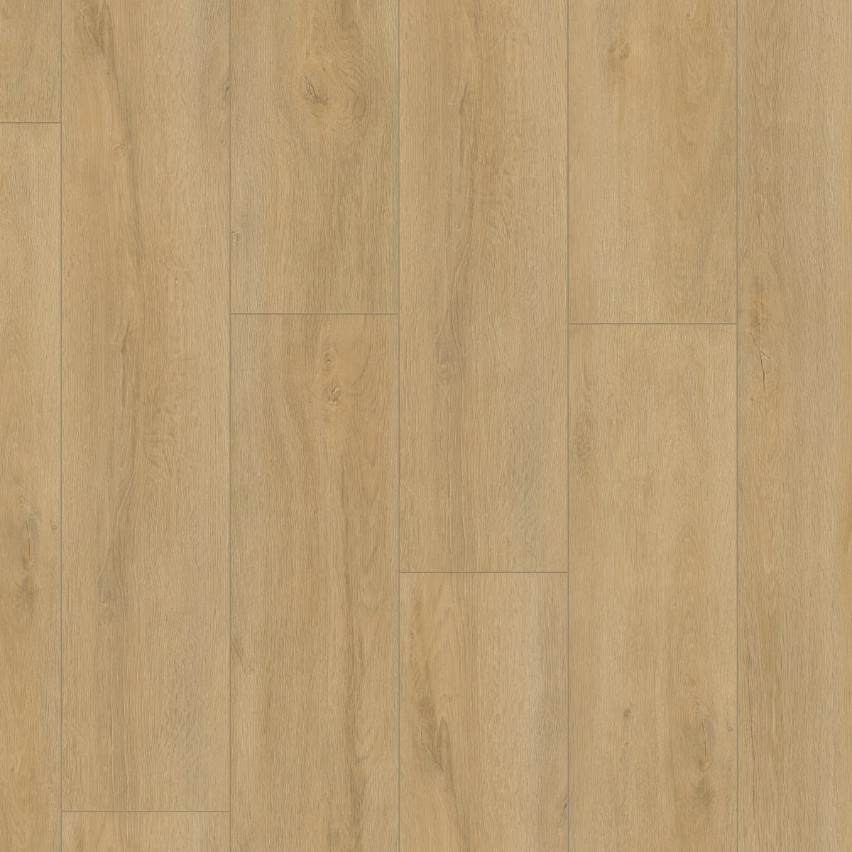Norwood / Prestige oak natuur eiken, laminaat gelegd, recht van boven gezien