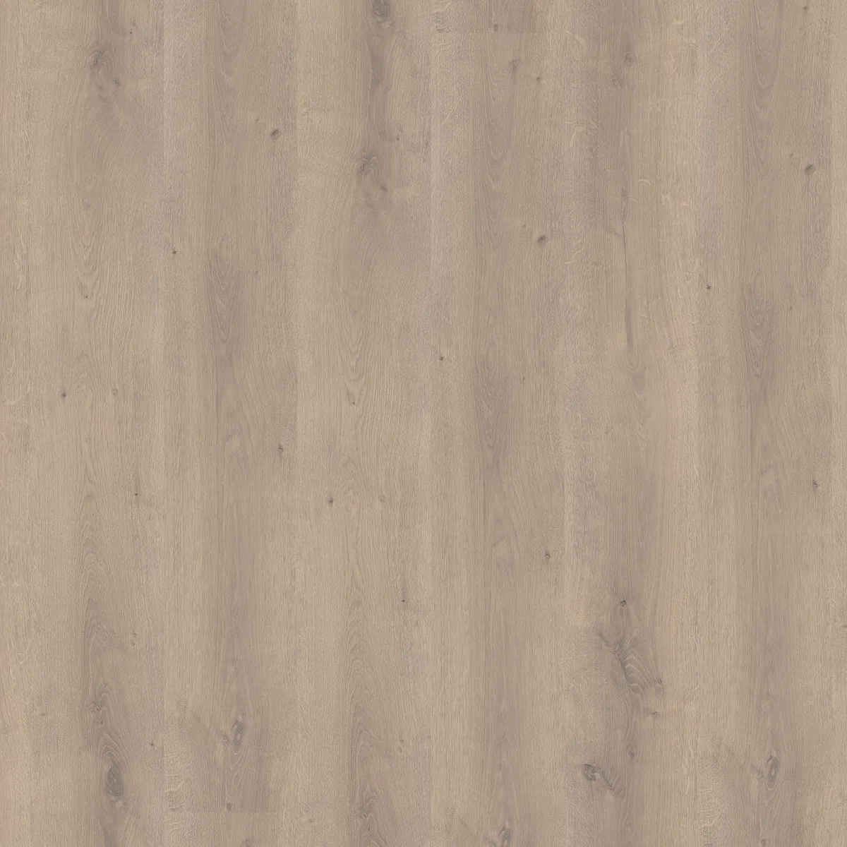 Queens / Elite beige eiken, laminaat gelegd, recht van boven gezien