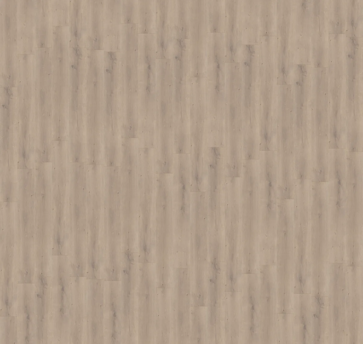 Queens / Elite beige eiken, laminaat van dichtbij, het legpatroon in beeld