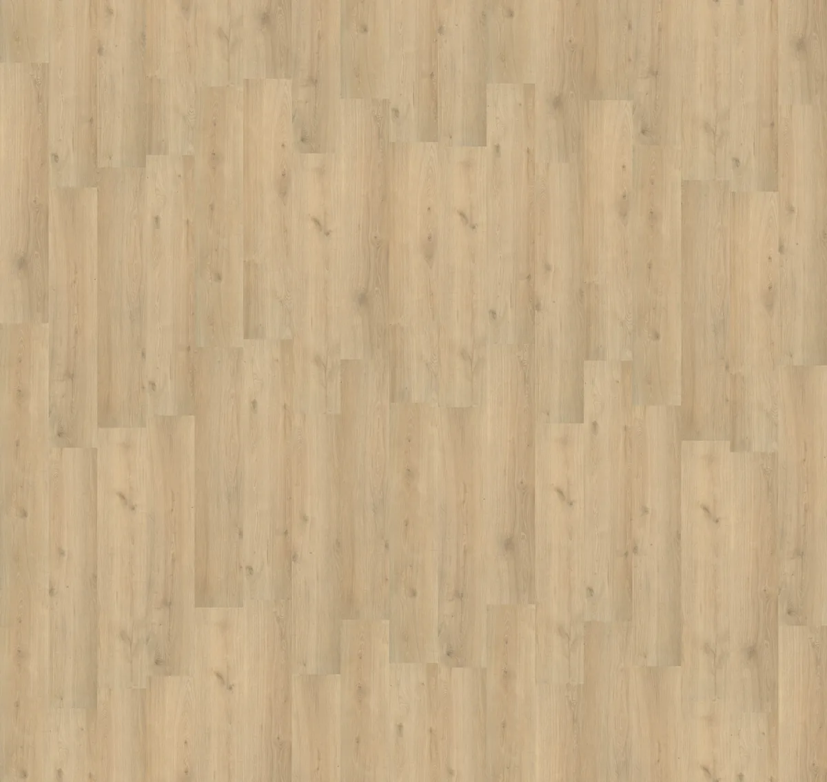Forest Hills / Aachen beige eiken, laminaat van dichtbij, het legpatroon in beeld