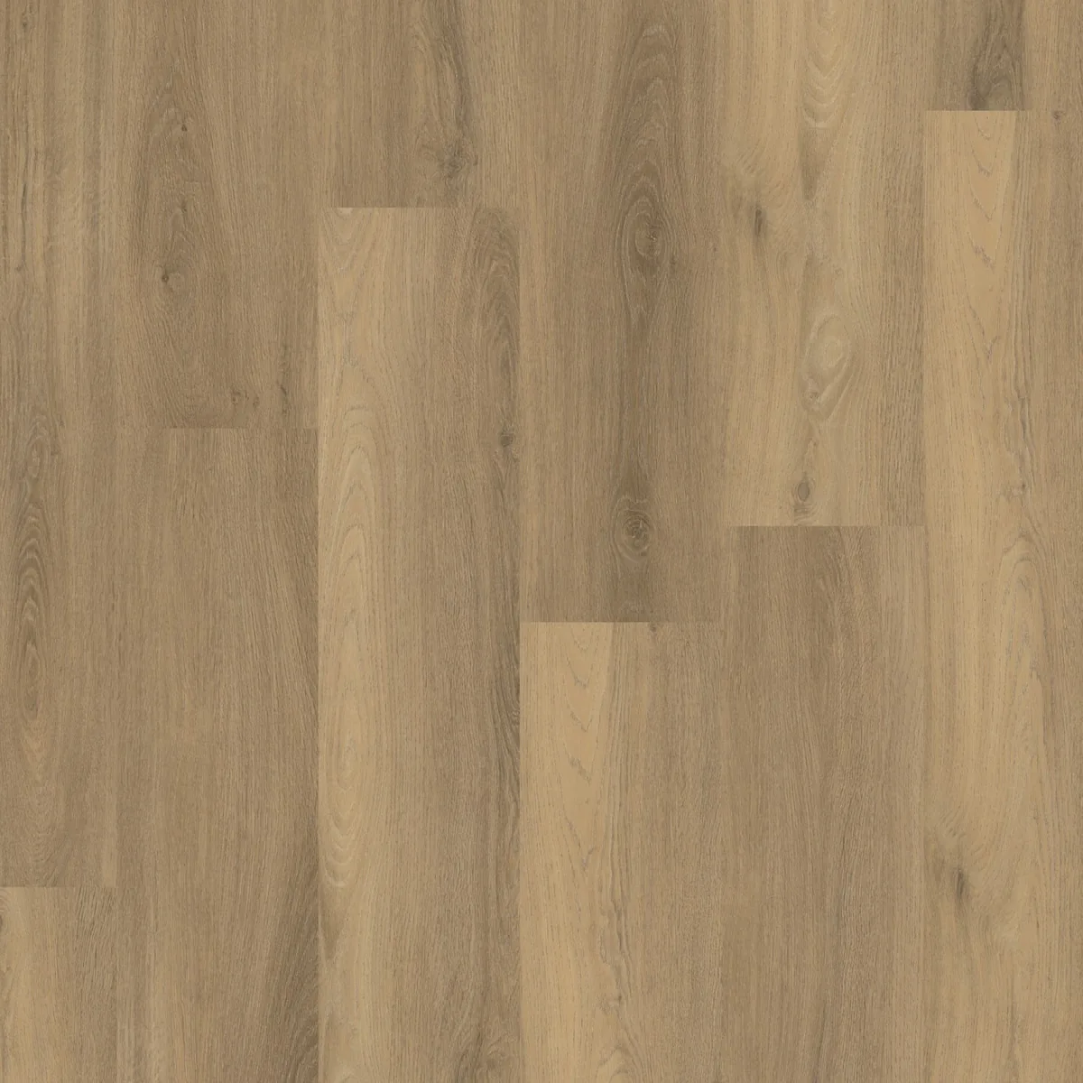 Paddington / Avanto natural, klik pvc gelegd, recht van boven gezien