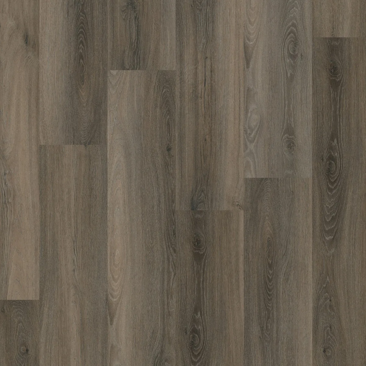 Paddington / Avanto Dark grey, klik pvc gelegd, recht van boven gezien
