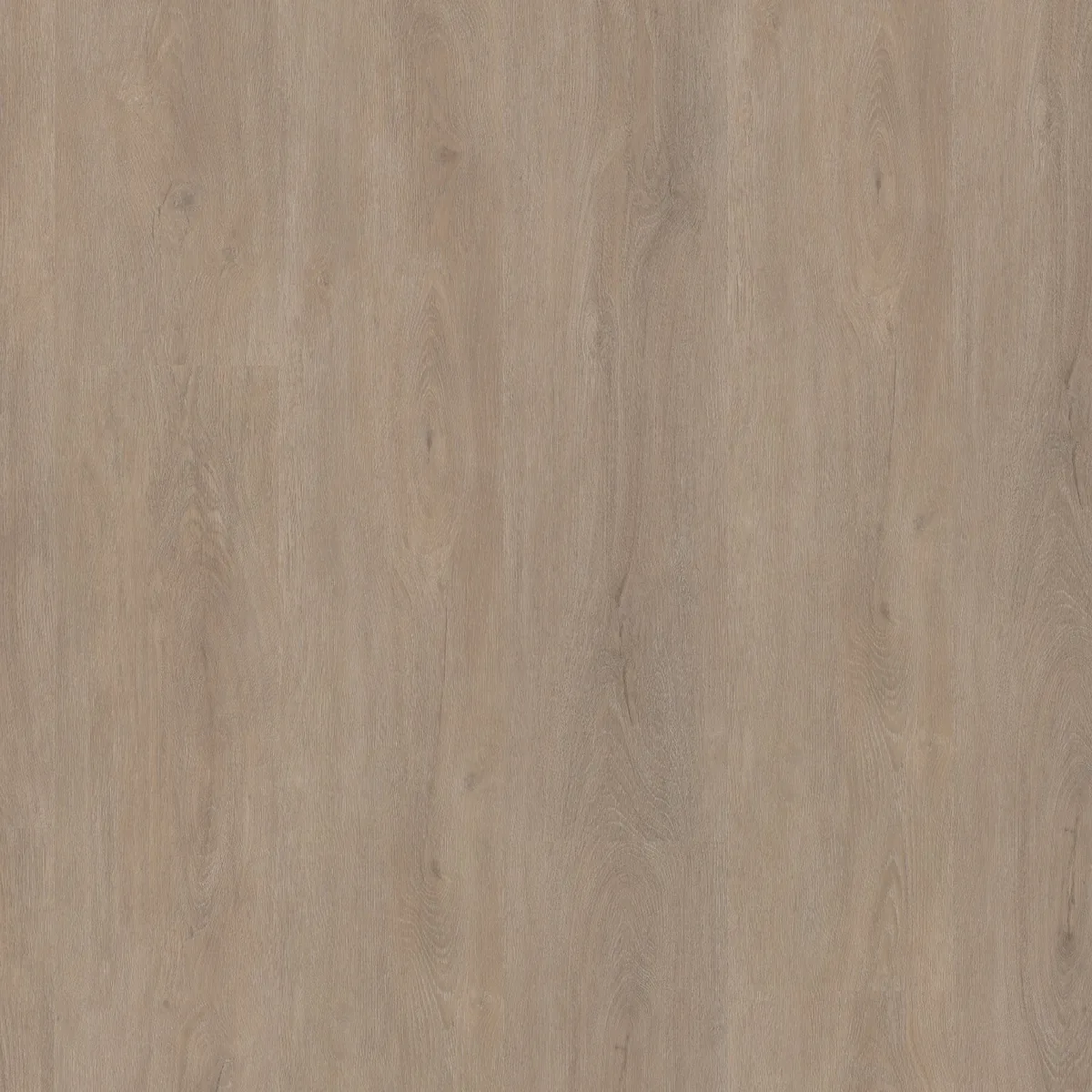 Parramatta / Robusto Light oak, klik pvc gelegd, recht van boven gezien
