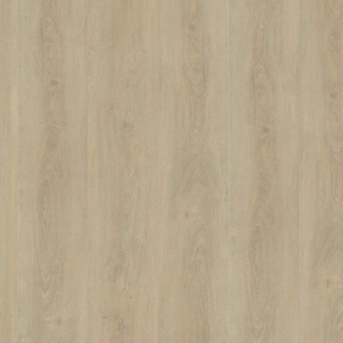 Parramatta / Robusto Light Natural, klik pvc gelegd, recht van boven gezien