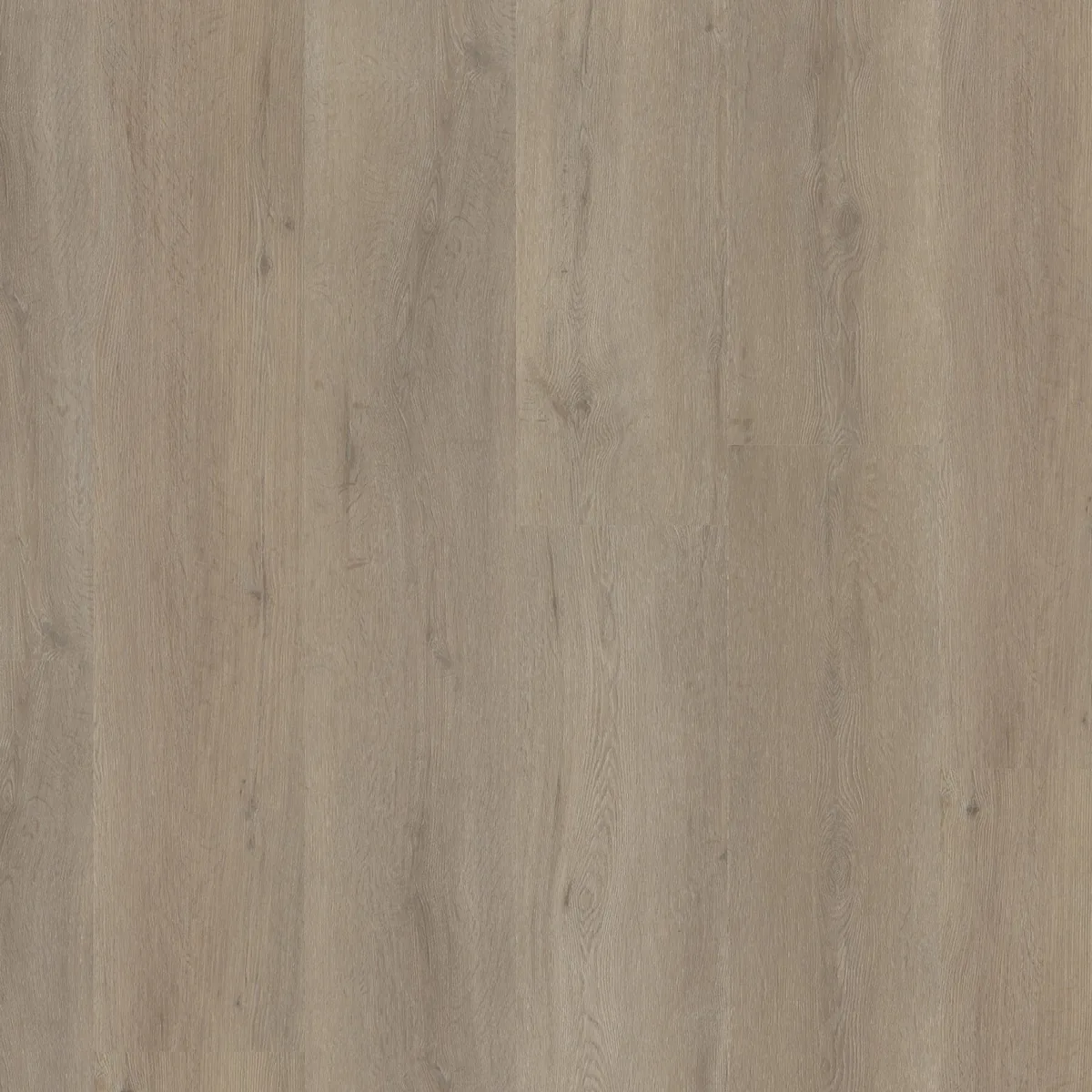 Leyton / Vivero light oak, klik pvc gelegd, recht van boven gezien