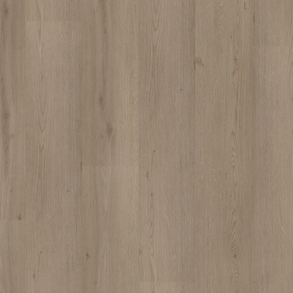 Barnet / Venera smoky, plak pvc gelegd, recht van boven gezien