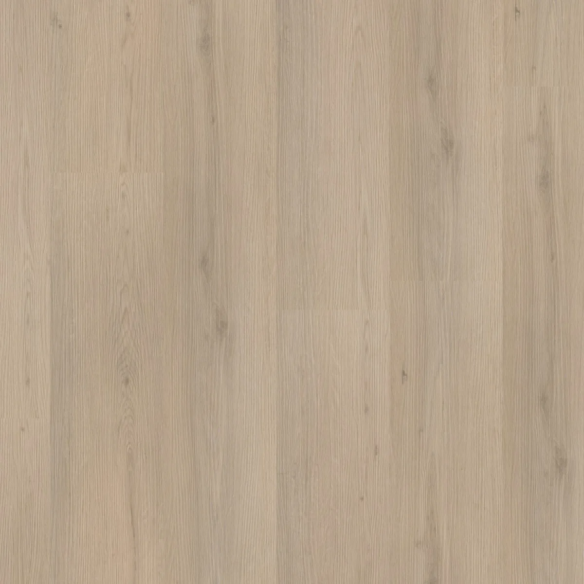 Barnet / Venera beige, plak pvc gelegd, recht van boven gezien