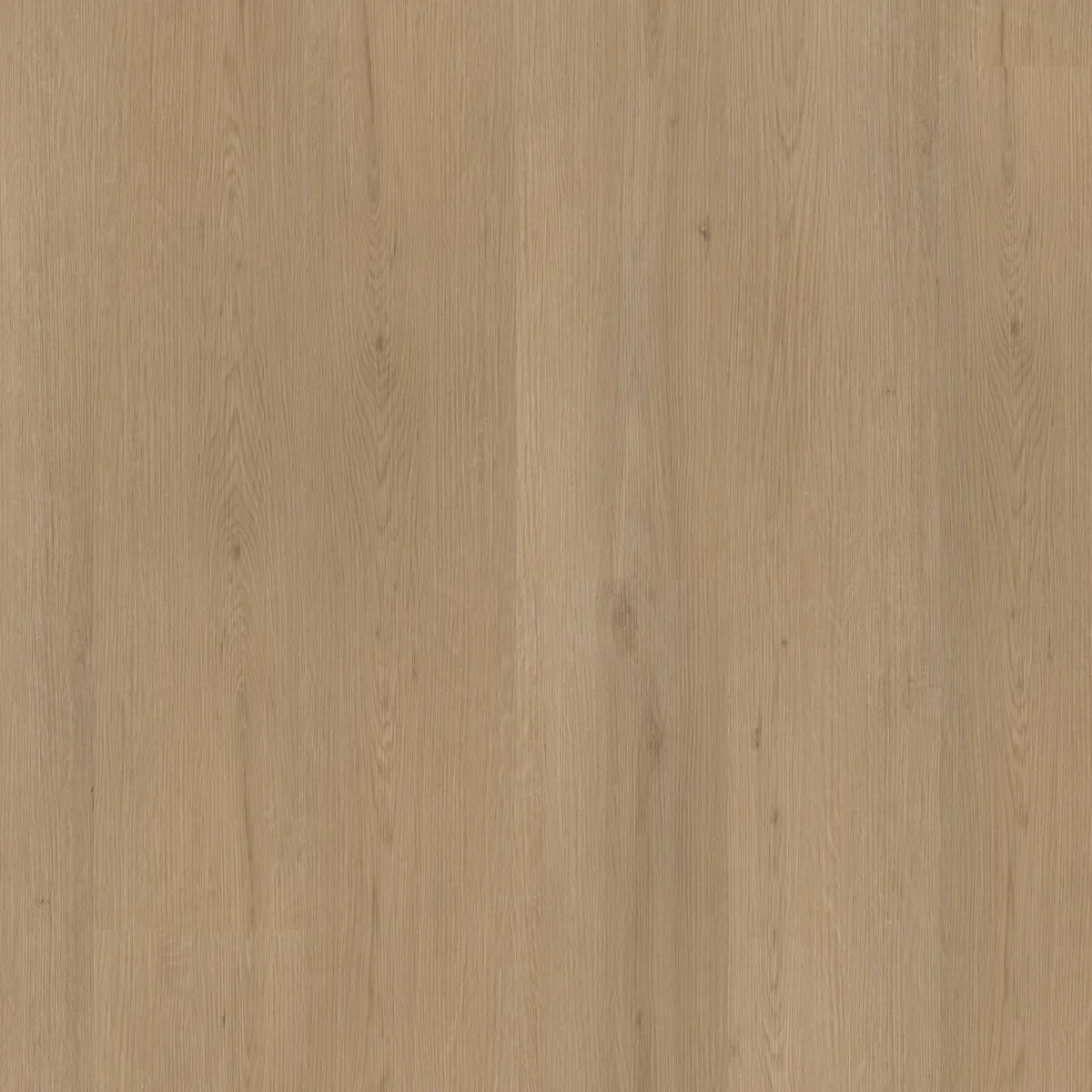 Barnet / Venera natural oak, plak pvc gelegd, recht van boven gezien