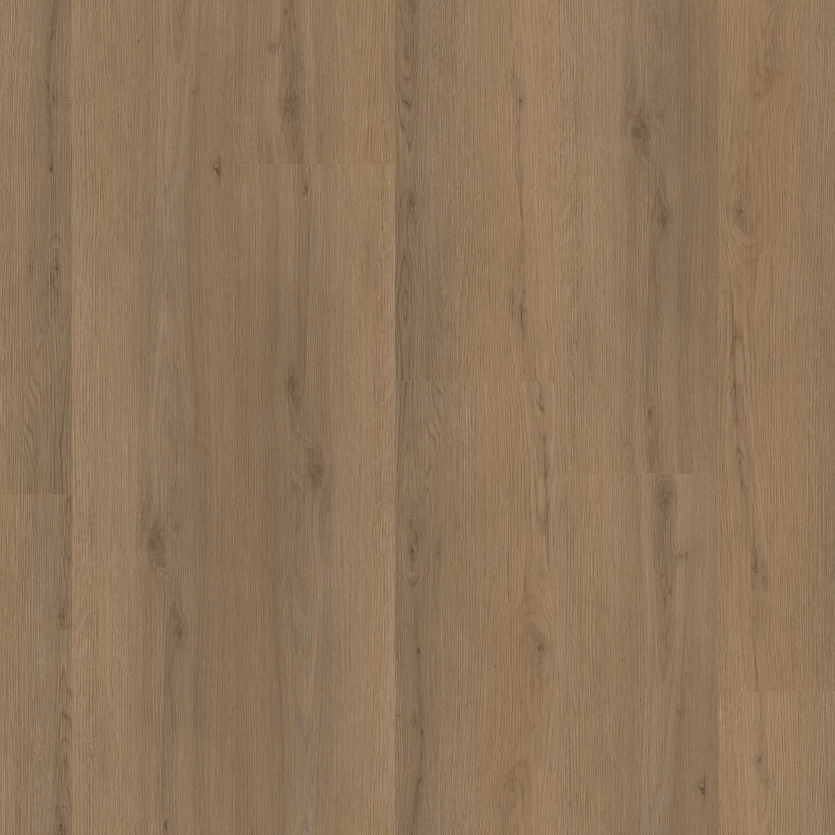 Barnet / Venera Dark oak, klik pvc gelegd, recht van boven gezien