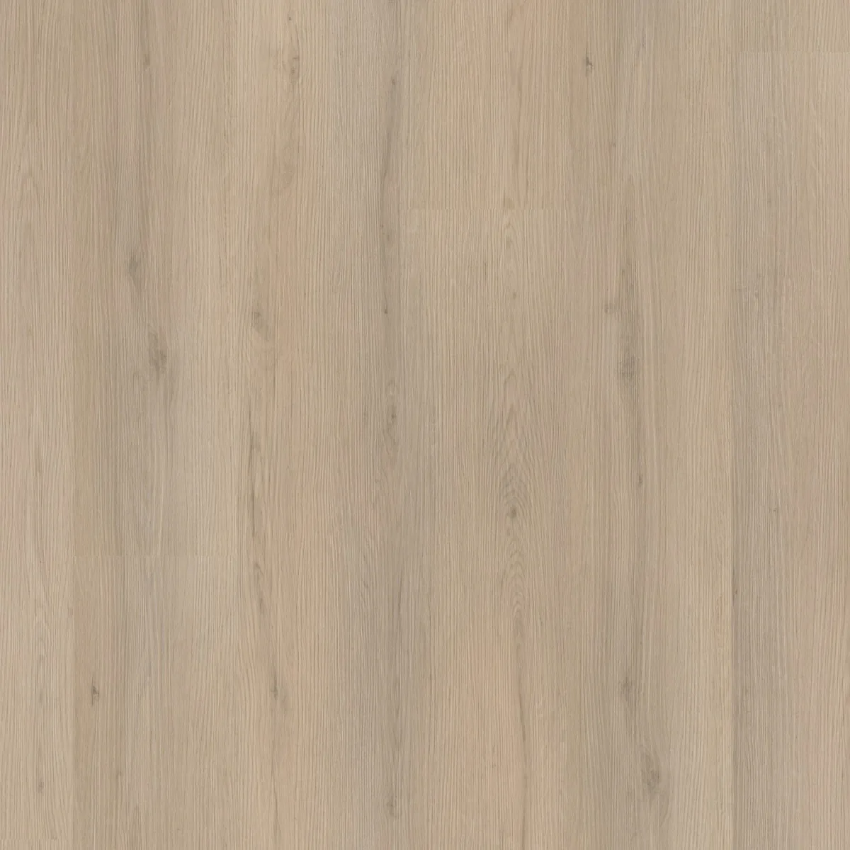 Barnet / Venera Beige, klik pvc gelegd, recht van boven gezien