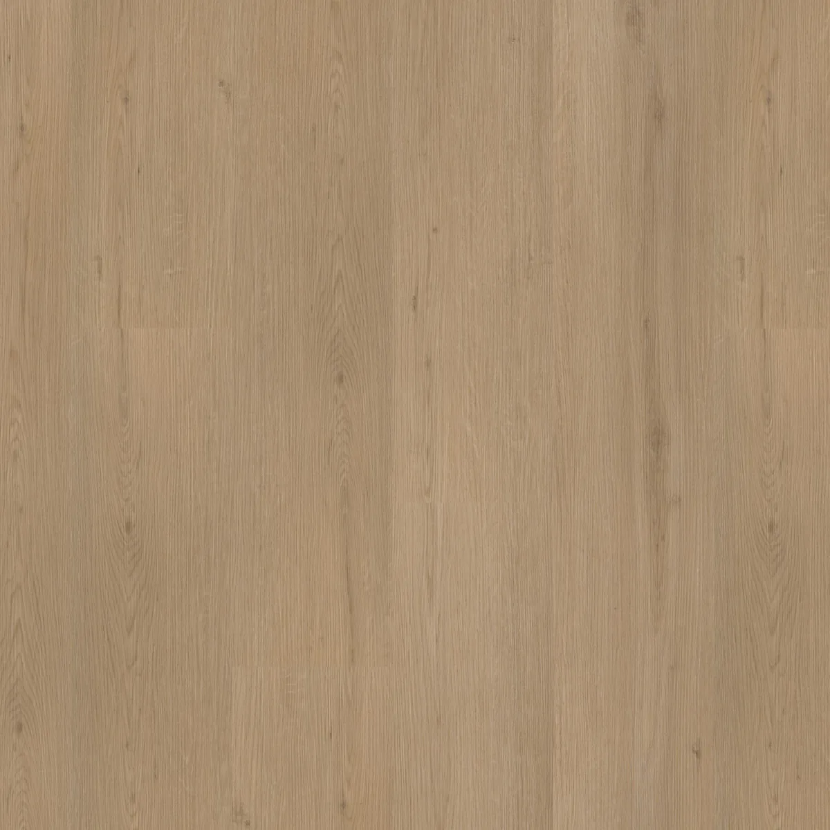 Barnet / Venera natural oak, klik pvc gelegd, recht van boven gezien