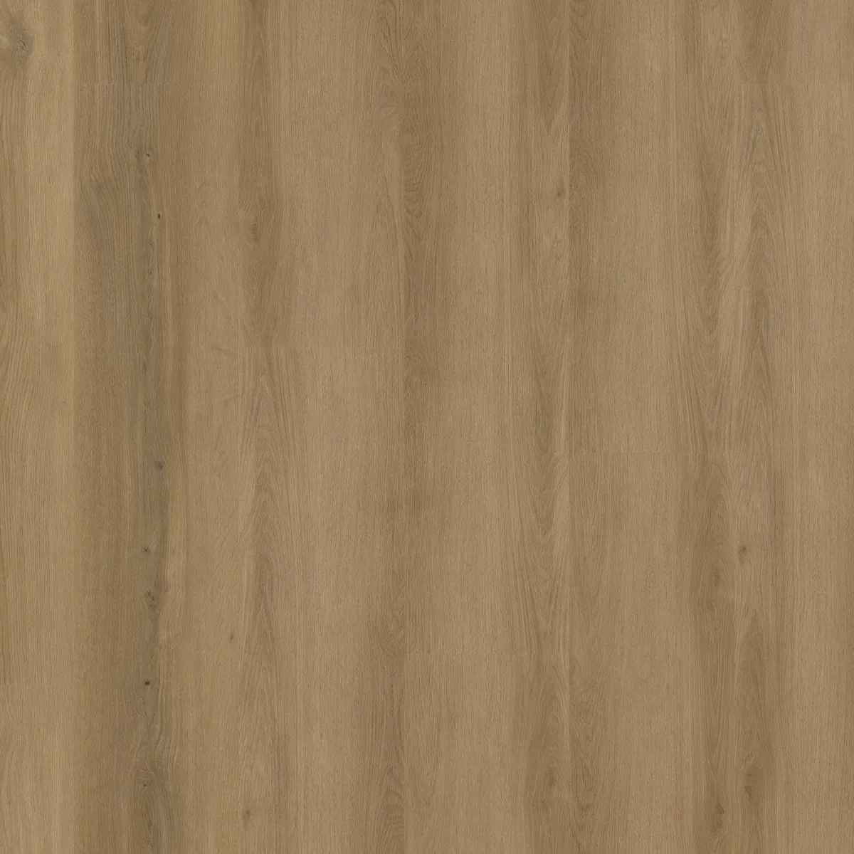 Greenwich / Espero dark oak, plak pvc gelegd, recht van boven gezien
