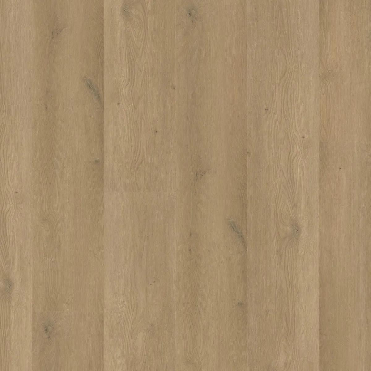 Greenwich / Espero Warm oak, klik pvc gelegd, recht van boven gezien