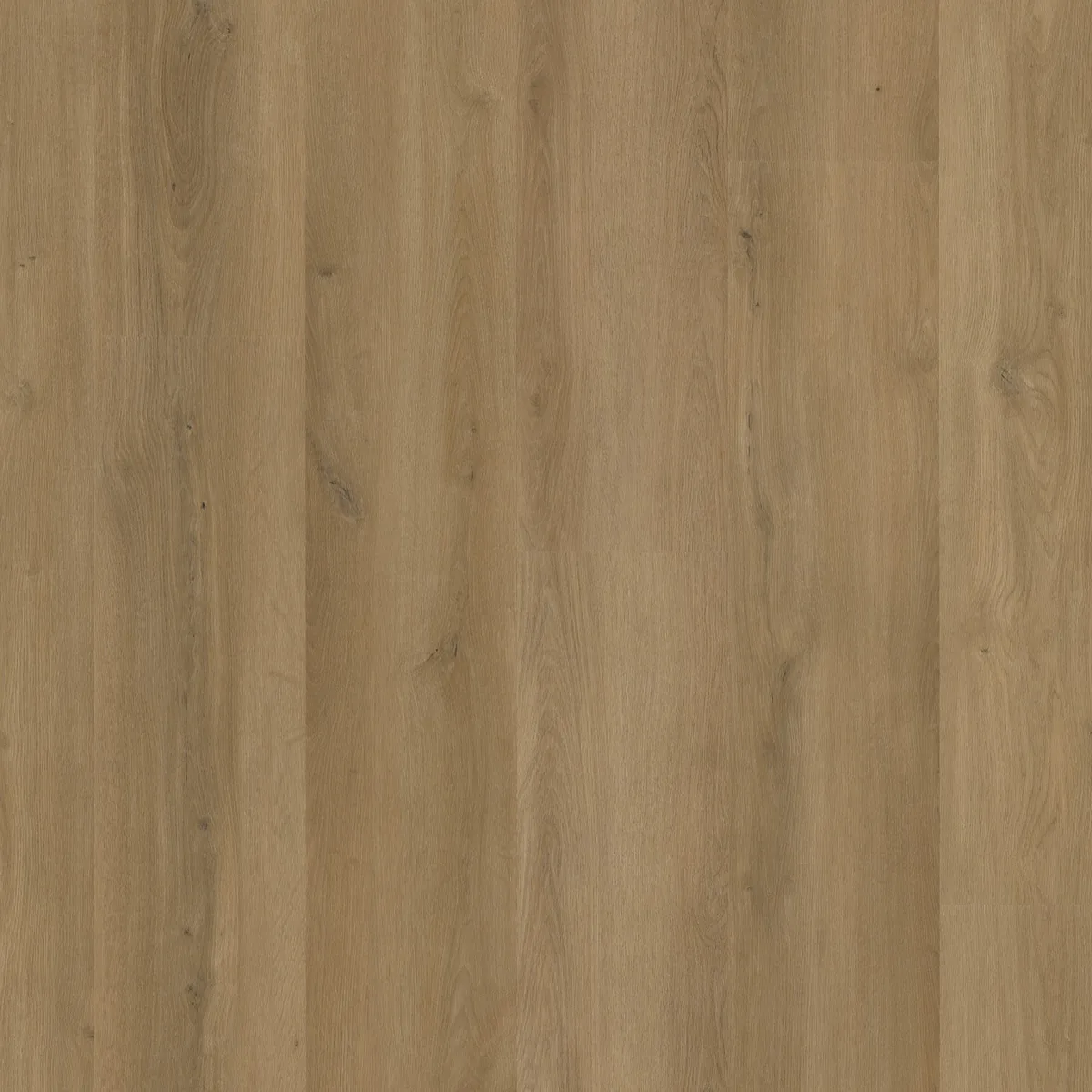 Greenwich / Espero Dark oak, klik pvc gelegd, recht van boven gezien