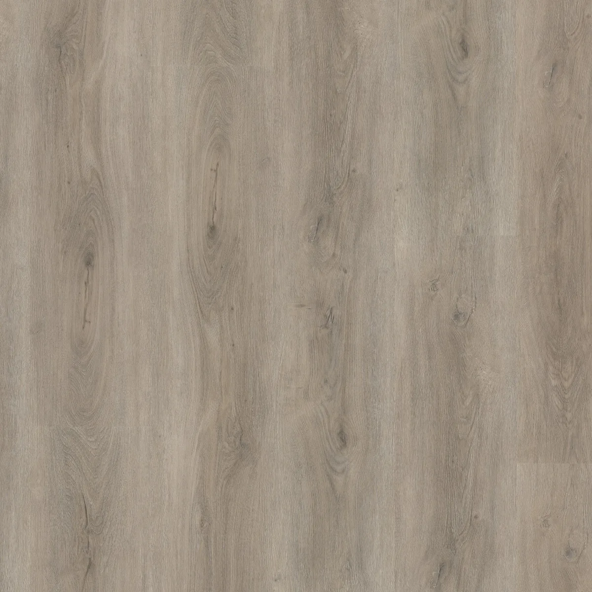 Parramatta / Robusto light grey, plak pvc gelegd, recht van boven gezien