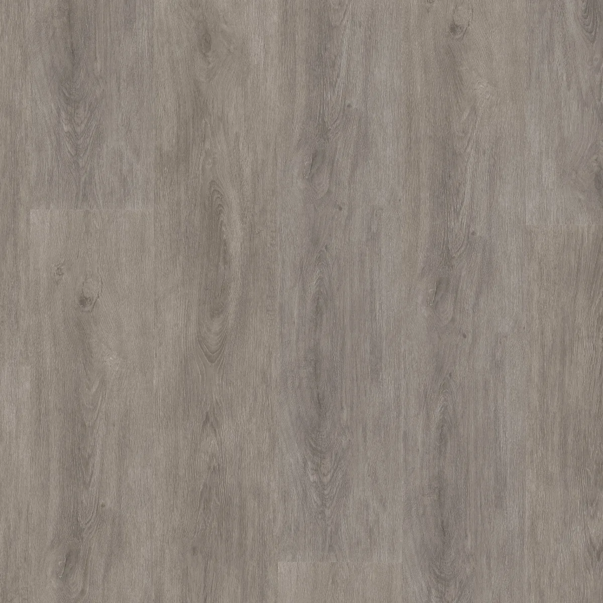 Parramatta / Robusto grey oak, plak pvc gelegd, recht van boven gezien